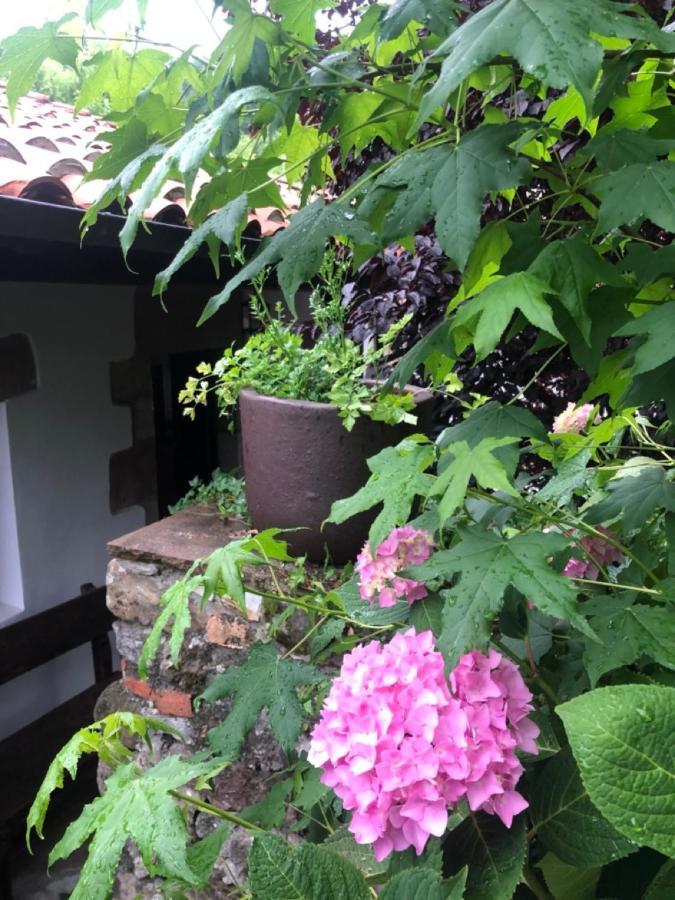 Hdec Hosteria De Castaneda Alojamiento Turistico Puente Viesgo Exterior photo
